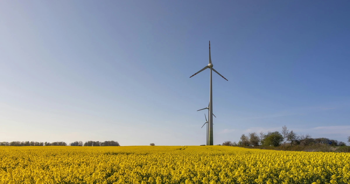 Preissenkungen für Energie in Luxemburg 2026 erwartet